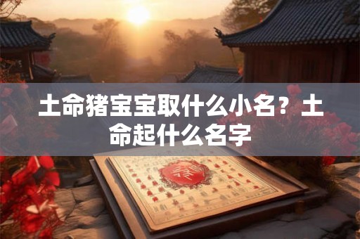 土命猪宝宝取什么小名?土命起什么名字 土命猪宝宝取什么小名?土命起什么名字