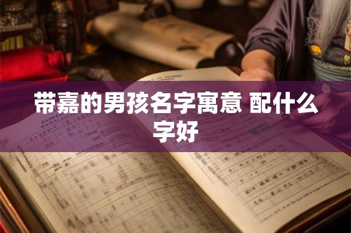 带嘉的男孩名字寓意 配什么字好 带嘉的男孩名字寓意 配什么字好