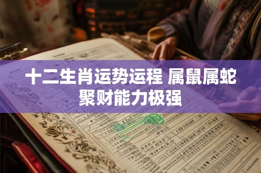 十二生肖运势运程 属鼠属蛇聚财能力极强