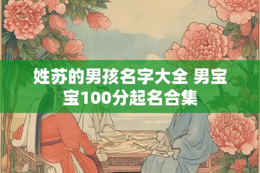姓苏的男孩名字大全 男宝宝100分起名合集 姓苏的男孩名字大全 男宝宝100分起名合集