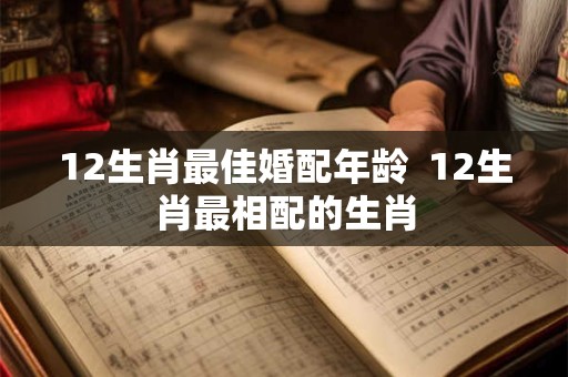 12生肖最佳婚配年龄  12生肖最相配的生肖
