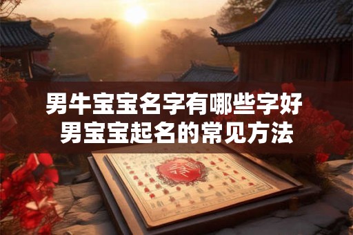 男牛宝宝名字有哪些字好 男宝宝起名的常见方法