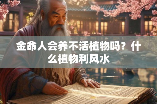 金命人会养不活植物吗?什么植物利风水 金命人会养不活植物吗?什么植物利风水