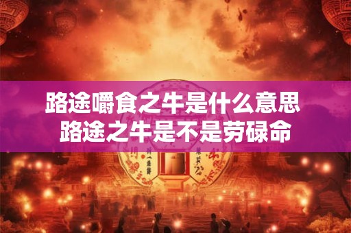 路途嚼食之牛是什么意思 路途之牛是不是劳碌命 路途嚼食之牛是什么意思 路途之牛是不是劳碌命
