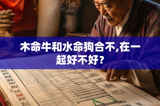木命牛和水命狗合不,在一起好不好？
