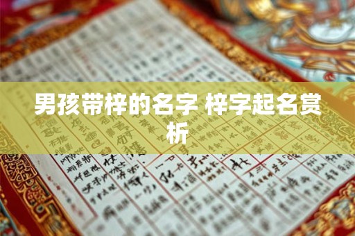 男孩带梓的名字 梓字起名赏析 男孩带梓的名字 梓字起名赏析