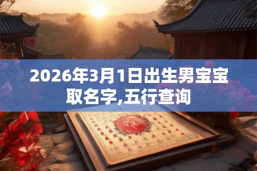 2026年3月1日出生男宝宝取名字,五行查询