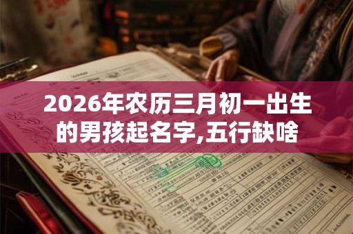 2026年农历三月初一出生的男孩起名字,五行缺啥