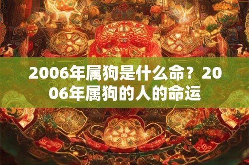 2006年属狗是什么命?2006年属狗的人的命运 2006年属狗是什么命?2006年属狗的人的命运