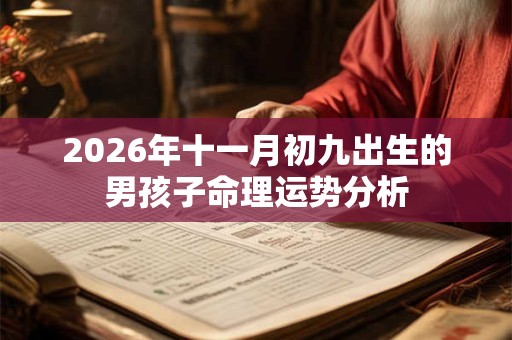 2026年十一月初九出生的男孩子命理运势分析
