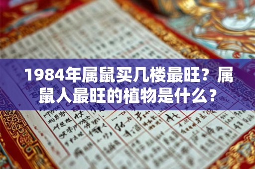 1984年属鼠买几楼最旺?属鼠人最旺的植物是什么? 1984年属鼠买几楼最旺?属鼠人最旺的植物是什么?