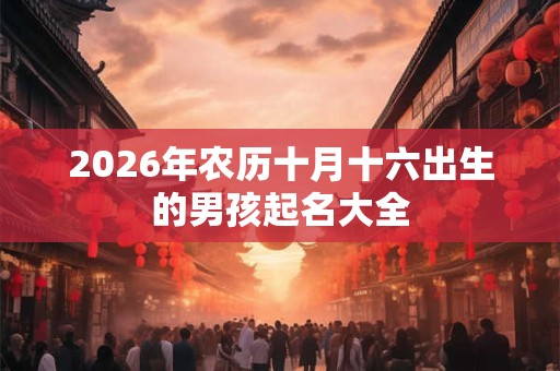 2026年农历十月十六出生的男孩起名大全