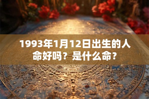 1993年1月12日出生的人命好吗？是什么命？