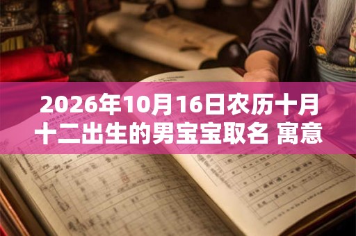 2026年10月16日农历十月十二出生的男宝宝取名 寓意好有内涵的名字