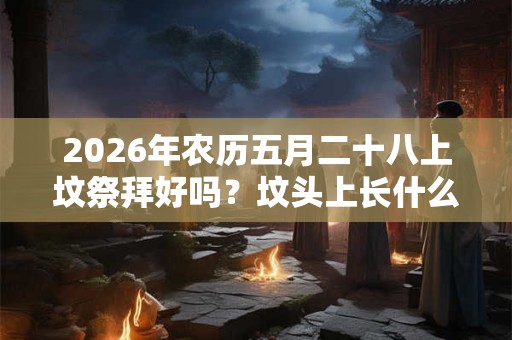2026年农历五月二十八上坟祭拜好吗?坟头上长什么草出大官? 2026年农历五月二十八上坟祭拜好吗?坟头上长什么草出大官?