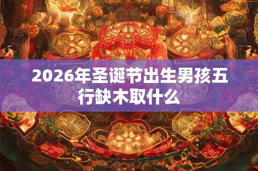 2026年圣诞节出生男孩五行缺木取什么 2026年圣诞节出生男孩五行缺木取什么