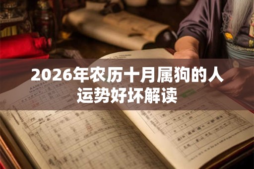 2026年农历十月属狗的人运势好坏解读 2026年农历十月属狗的人运势好坏解读