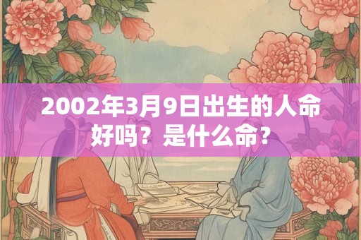 2002年3月9日出生的人命好吗？是什么命？