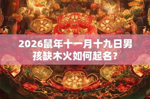 2026鼠年十一月十九日男孩缺木火如何起名？