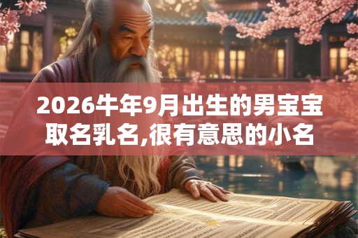 2026牛年9月出生的男宝宝取名乳名,很有意思的小名