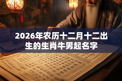 2026年农历十二月十二出生的生肖牛男起名字