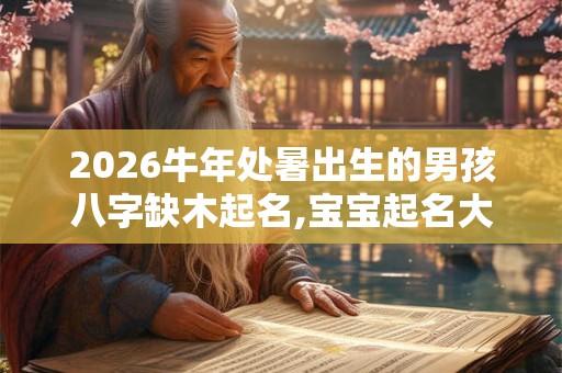 2026牛年处暑出生的男孩八字缺木起名,宝宝起名大全