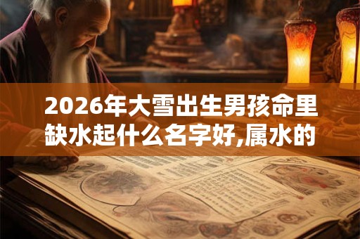 2026年大雪出生男孩命里缺水起什么名字好,属水的名字分享