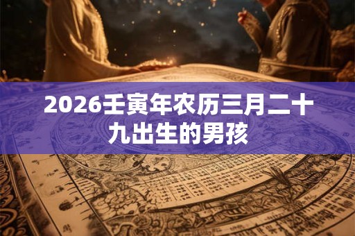 2026壬寅年农历三月二十九出生的男孩 2026壬寅年农历三月二十九出生的男孩