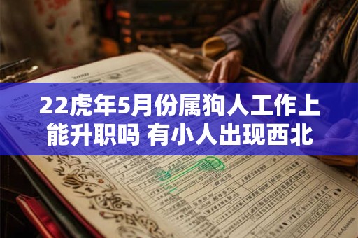 22虎年5月份属狗人工作上能升职吗 有小人出现西北方可改善