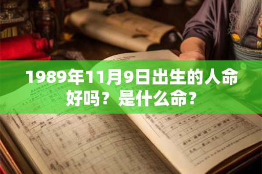 1989年11月9日出生的人命好吗？是什么命？
