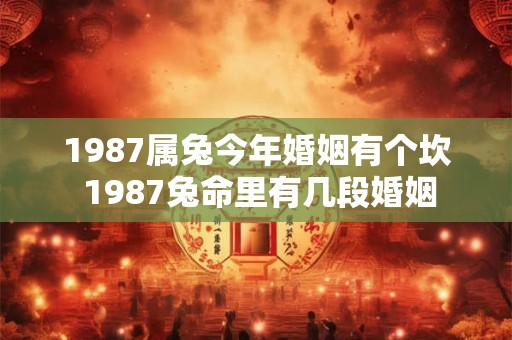 1987属兔今年婚姻有个坎 1987兔命里有几段婚姻