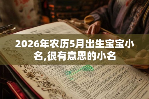 2026年农历5月出生宝宝小名,很有意思的小名