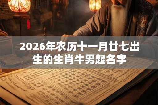 2026年农历十一月廿七出生的生肖牛男起名字