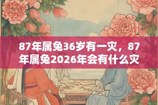 87年属兔36岁有一灾,87年属兔2026年会有什么灾难? 87年属兔36岁有一灾,87年属兔2026年会有什么灾难?