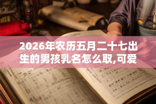 2026年农历五月二十七出生的男孩乳名怎么取,可爱洋气一些的乳名
