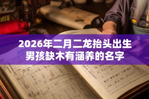 2026年二月二龙抬头出生男孩缺木有涵养的名字