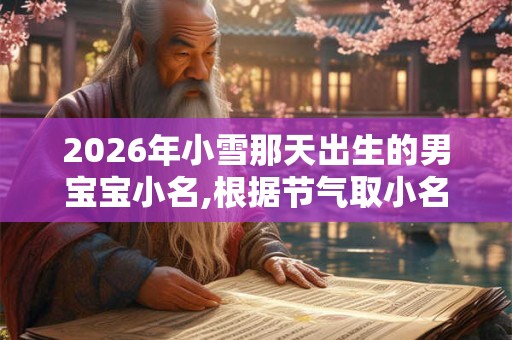 2026年小雪那天出生的男宝宝小名,根据节气取小名