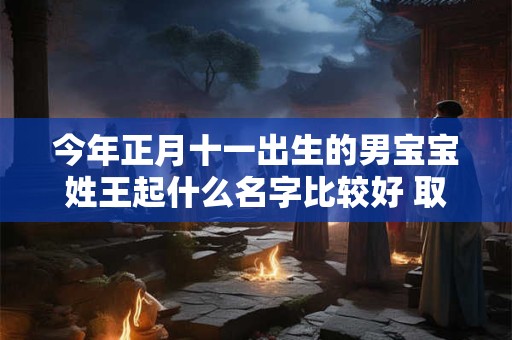 今年正月十一出生的男宝宝姓王起什么名字比较好 取什么名字最好