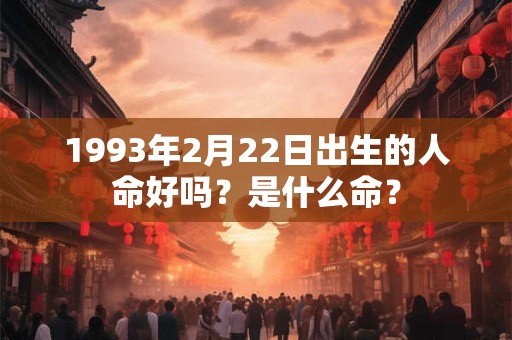 1993年2月22日出生的人命好吗？是什么命？