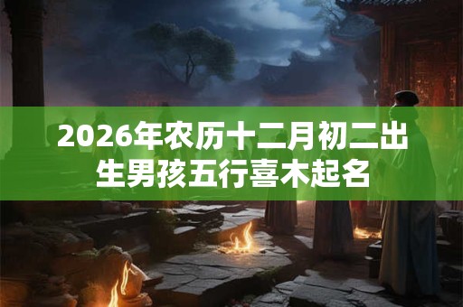 2026年农历十二月初二出生男孩五行喜木起名