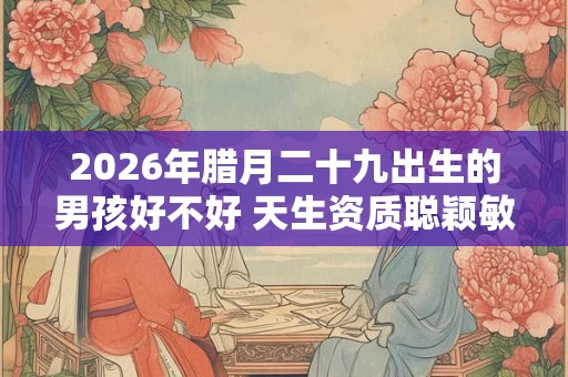 2026年腊月二十九出生的男孩好不好 天生资质聪颖敏睿