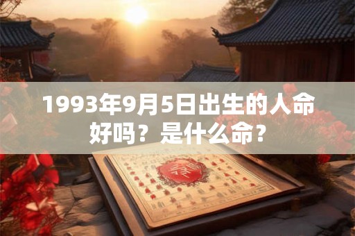 1993年9月5日出生的人命好吗？是什么命？