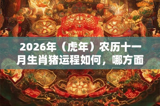 2026年(虎年)农历十一月生肖猪运程如何,哪方面运势最佳? 2026年(虎年)农历十一月生肖猪运程如何,哪方面运势最佳?