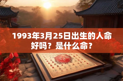 1993年3月25日出生的人命好吗？是什么命？