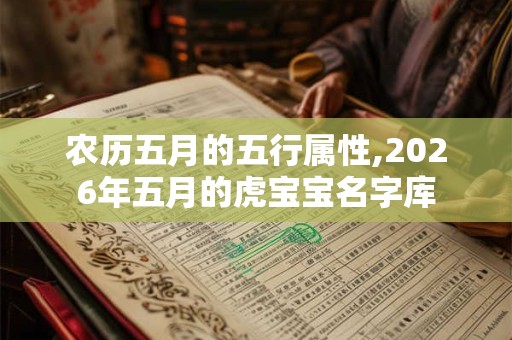 农历五月的五行属性,2026年五月的虎宝宝名字库