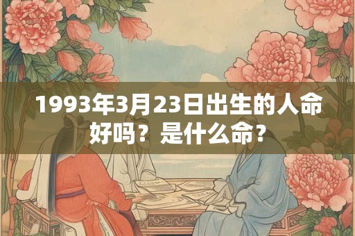 1993年3月23日出生的人命好吗？是什么命？
