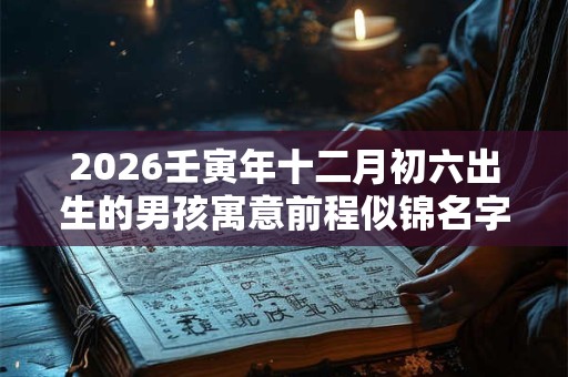 2026壬寅年十二月初六出生的男孩寓意前程似锦名字