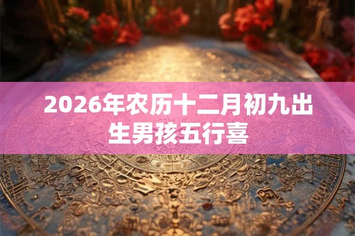 2026年农历十二月初九出生男孩五行喜