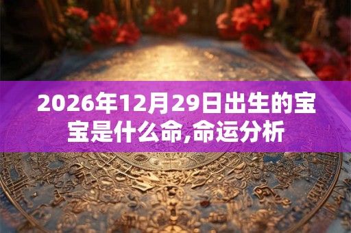2026年12月29日出生的宝宝是什么命,命运分析