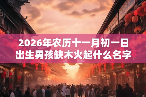 2026年农历十一月初一日出生男孩缺木火起什么名字？